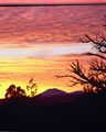 Mt. Bachelor at Sunset